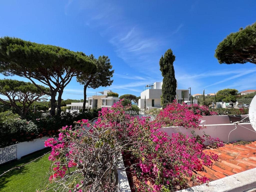 Traditional 3 Bedroom Villa With Great Pool In The Heart Of ואלה דה לובו מראה חיצוני תמונה